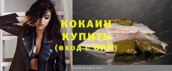 индика Ладушкин