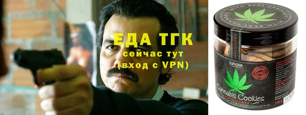 индика Ладушкин