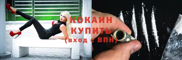 индика Ладушкин