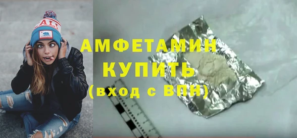 индика Ладушкин