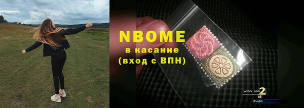 индика Ладушкин