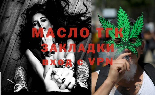 индика Ладушкин