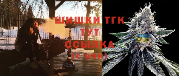 индика Ладушкин