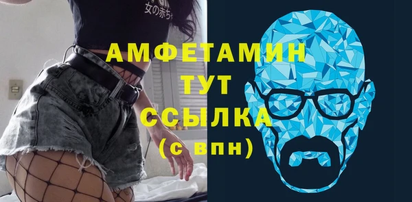 индика Ладушкин