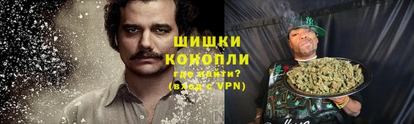 индика Ладушкин