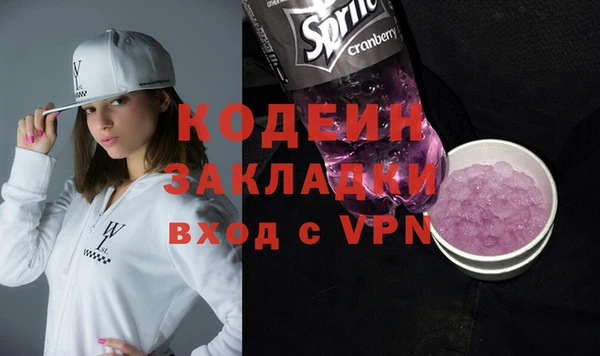 индика Ладушкин
