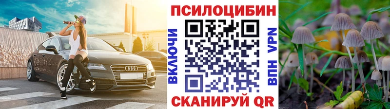цена   blacksprut сайт  Псилоцибиновые грибы Cubensis  Шали 